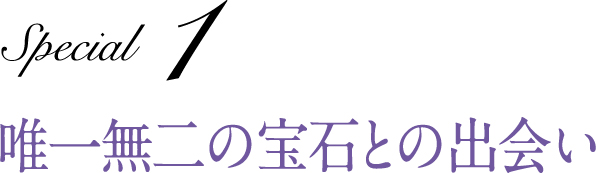 Special 1 唯一無二の宝石との出会い